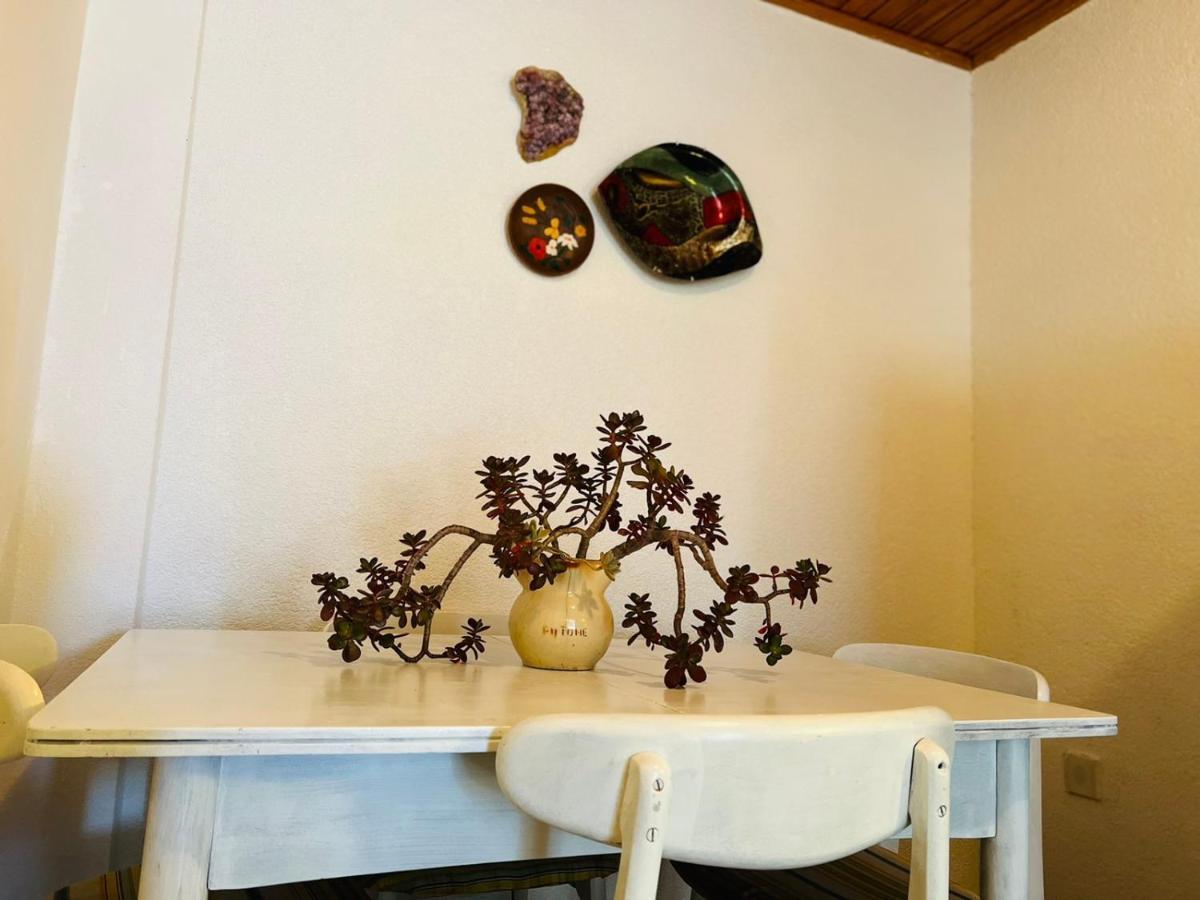 Sea Breeze Apartments With Private Beach And Boat Anchorage スタラ・ノヴァリャ エクステリア 写真